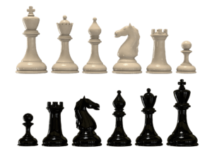 A picture of the six chess pieces of King, Queen, Rook, Bishop, Knight and Pawn