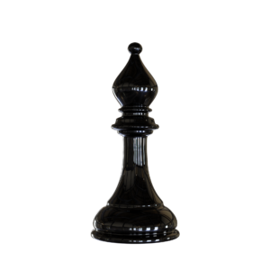 The Bishop chess piece, a long range specialist