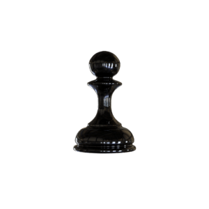 The pawn chess piece